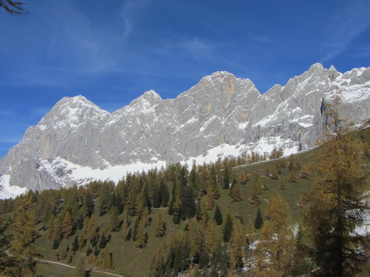 Apartament Gloesalm Ramsau am Dachstein Zewnętrze zdjęcie